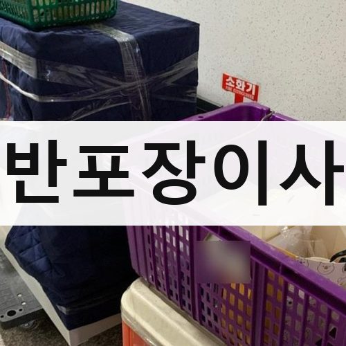 함안군 여항면 반포장이사 포장이사